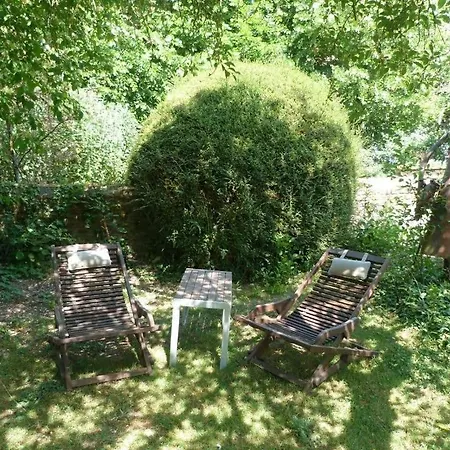 Les Colombes * Saint-Tricat