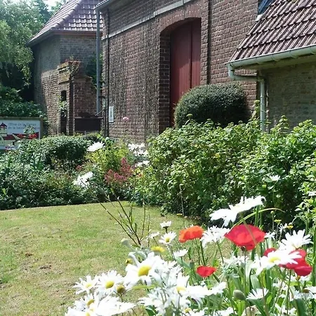Les Colombes